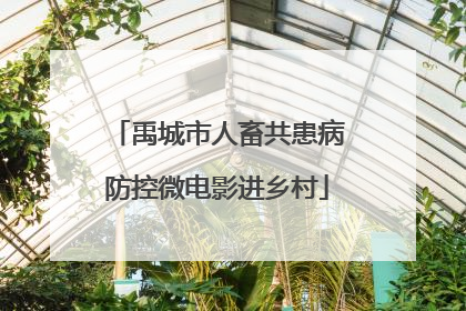 禹城市人畜共患病防控微电影进乡村